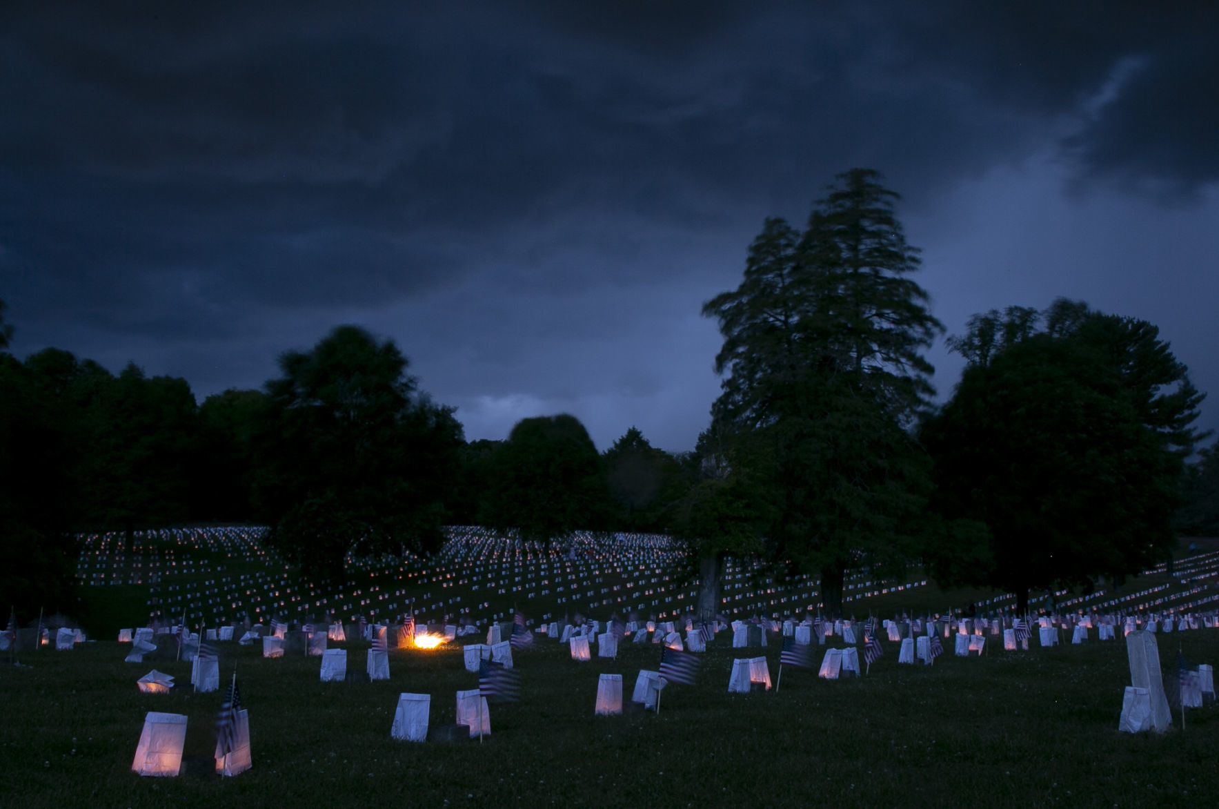 Luminaria